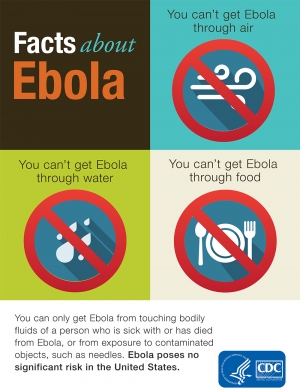 Ebola Info Graphic