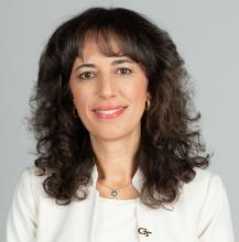 Pinar Keskinocak, Named ISyE School Chair